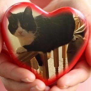 Meet your Posher, Toni